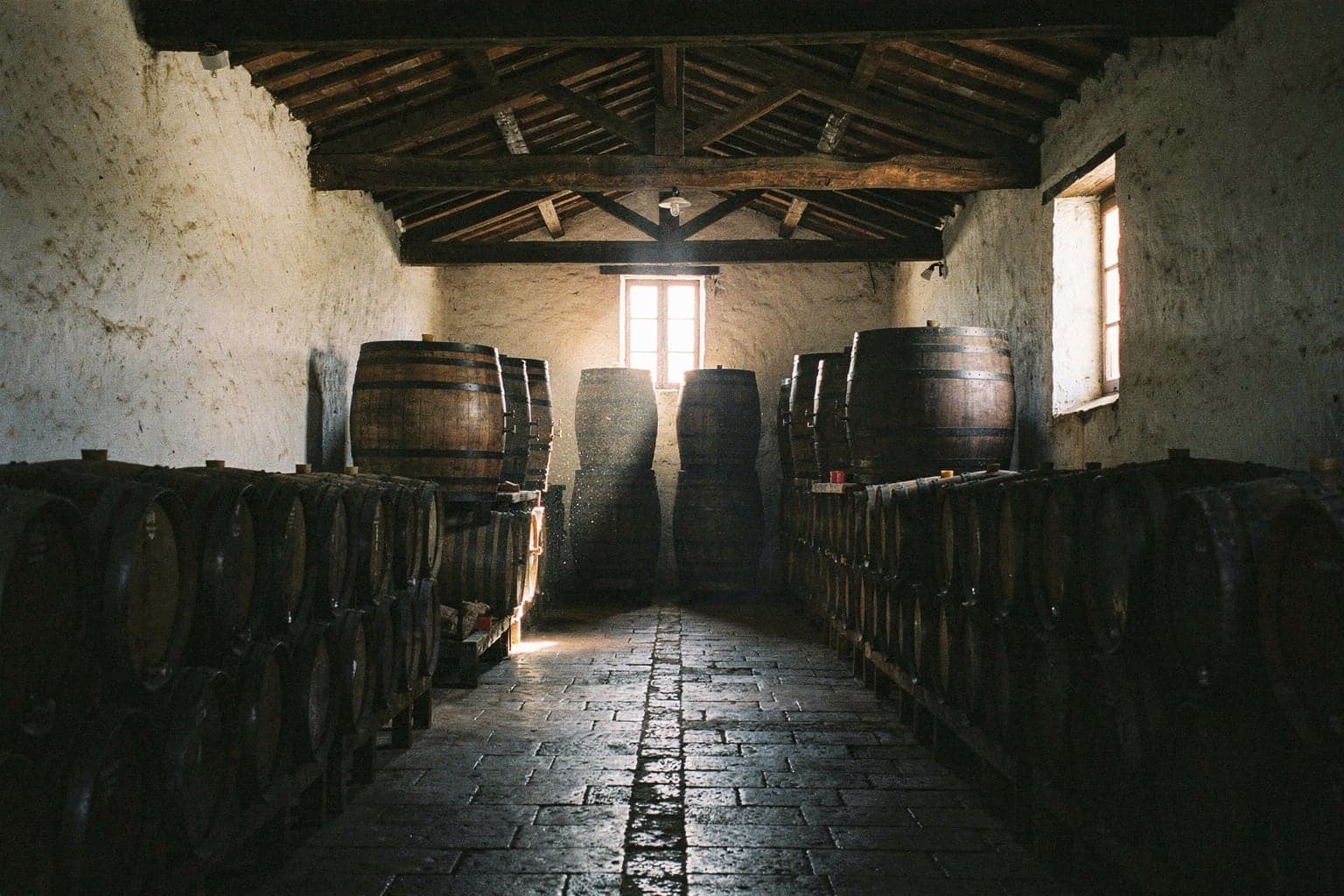 Rows of oak port casks in a dim lodge cellar in Vila Nova de Gaia, lit by a shaft of daylight