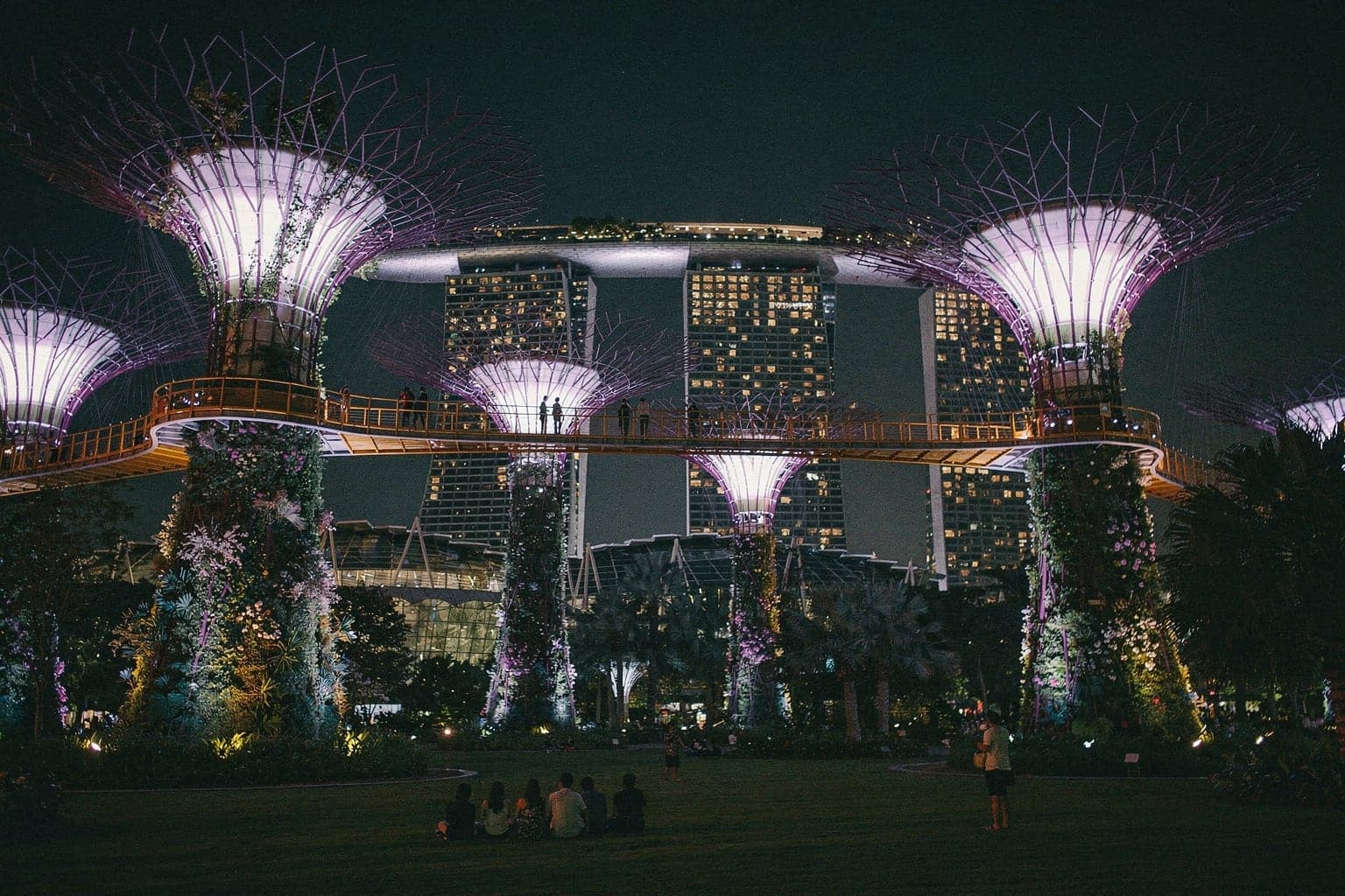 The Supertree Grove at Gardens by the Bay lit purple and blue at night, with the elevated walkway between the trees
